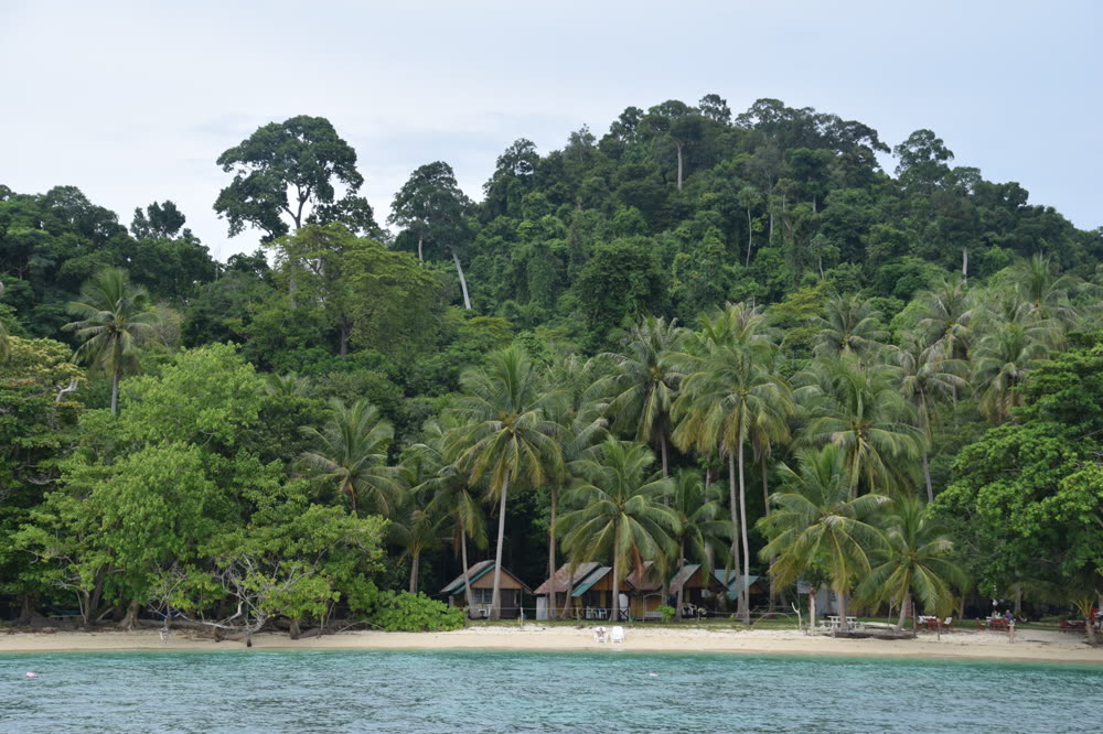 Koh Kradan's beach and forest shoreline, Trang province