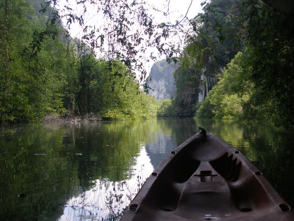 Mangrove and kayak tours near Koh Lanta